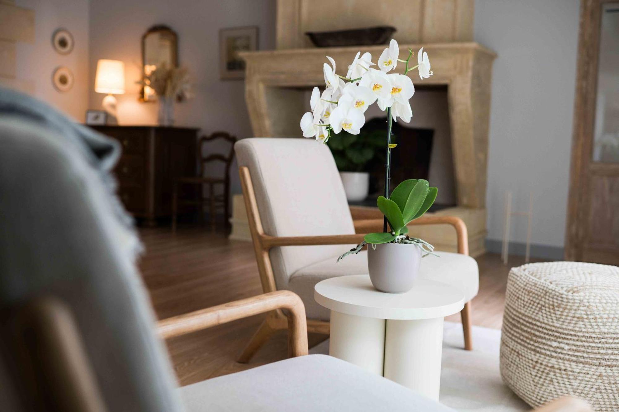 Clos De La Barbanne Montagne  Kamer foto
